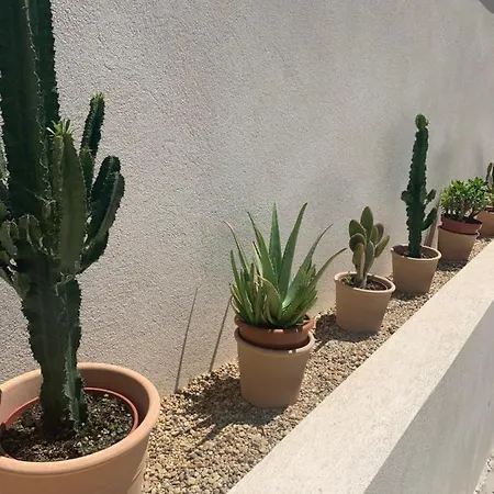 Le Cabanon De Val Gassin