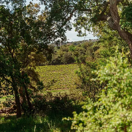 Le Cabanon De Val Bed and Breakfast