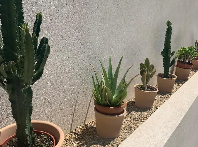 Le Cabanon De Val Gassin