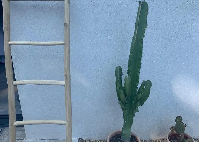 Bed and breakfast Le Cabanon De Val Gassin